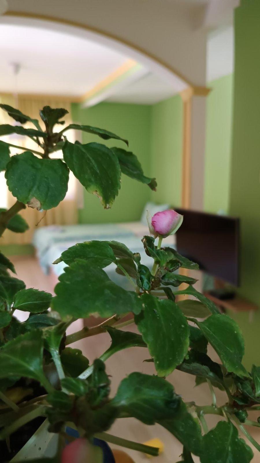 Villa Re3Ca Skopje Exteriör bild
